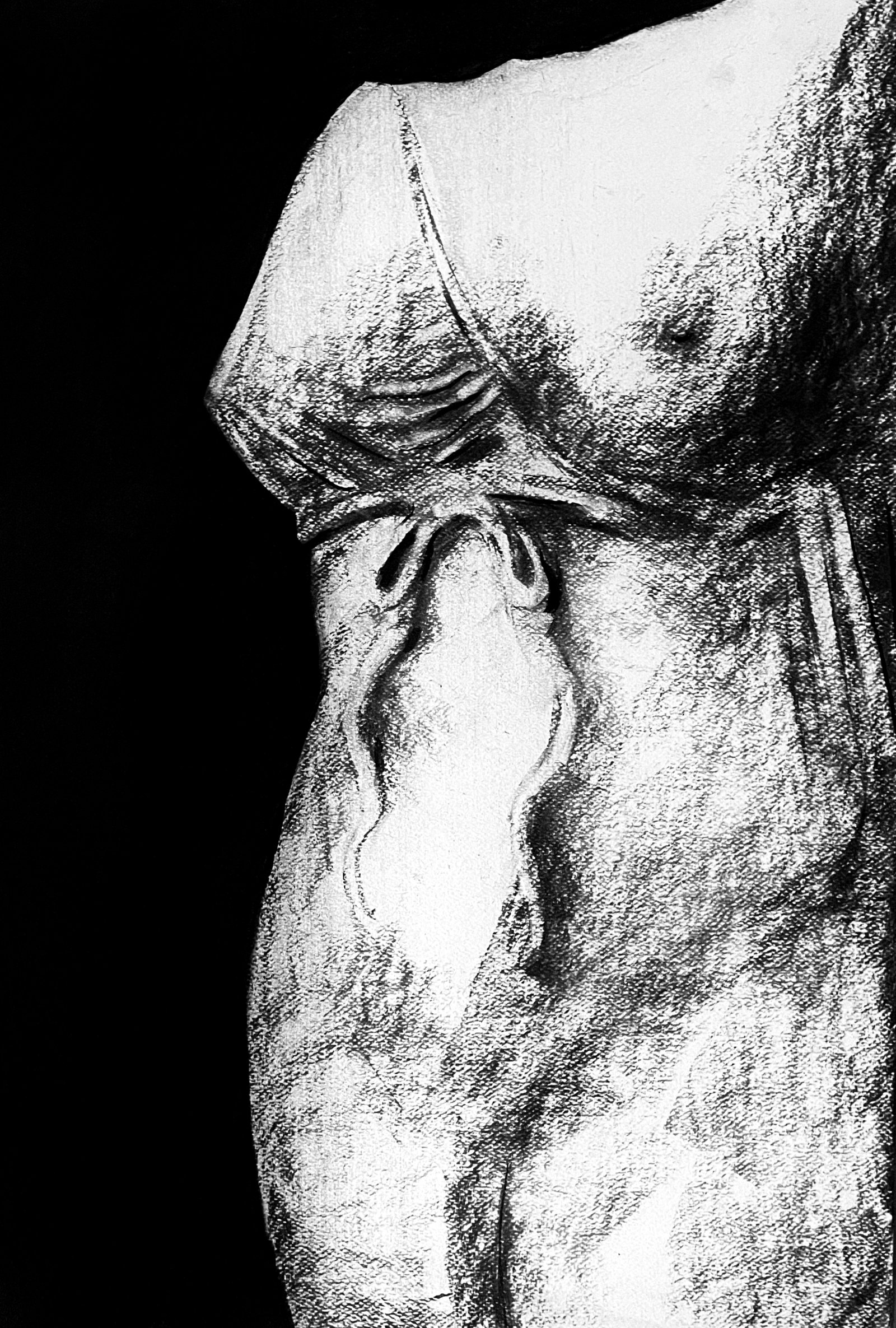 Female Torso